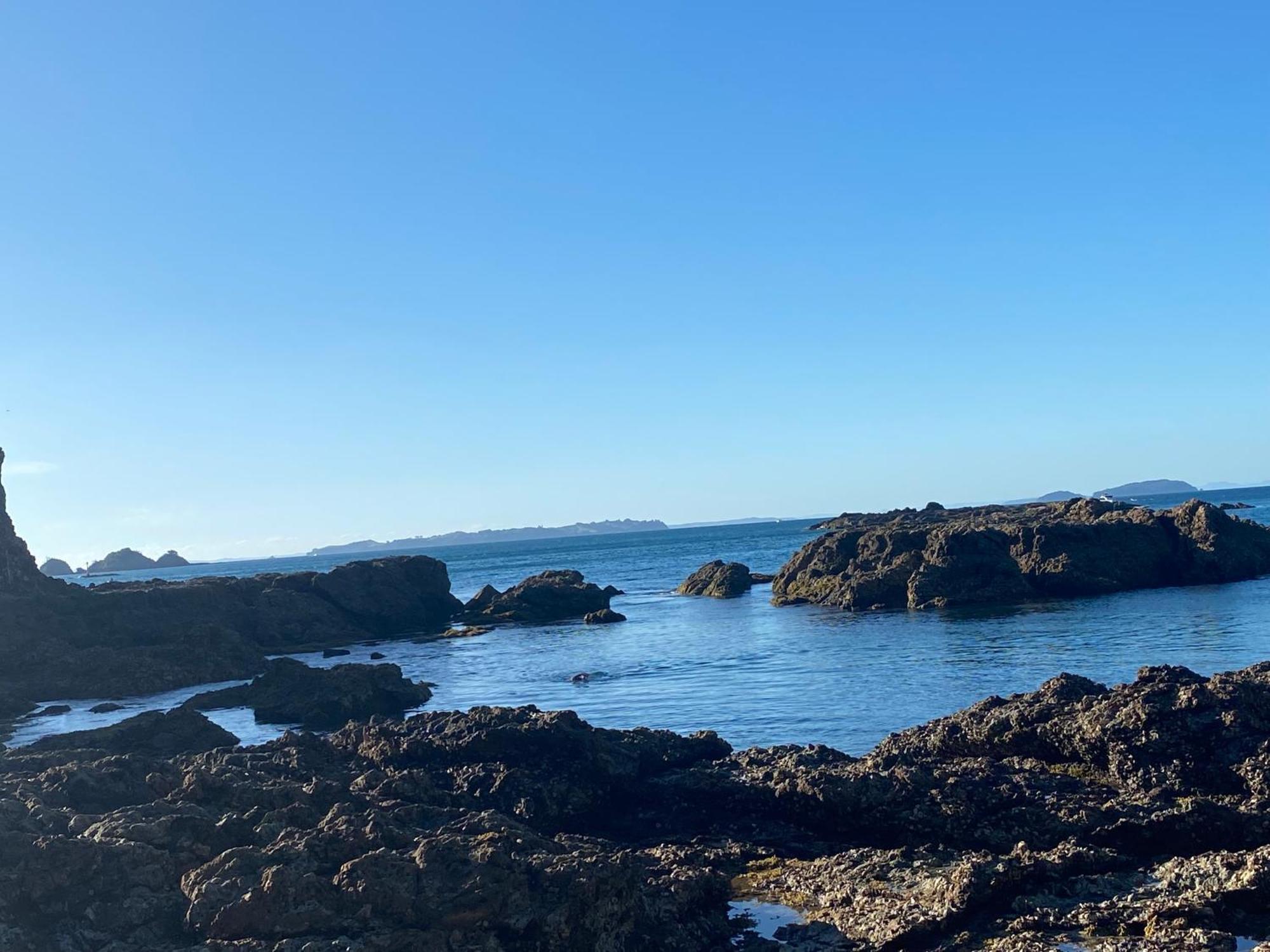 Kereru Cabin - Spectacular Seaviews, Rustic, Glamping Eco Adventure Palm Beach 外观 照片