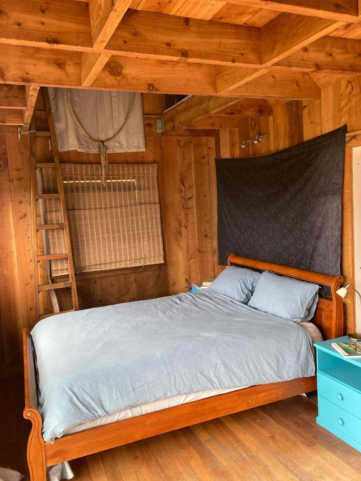 Kereru Cabin - Spectacular Seaviews, Rustic, Glamping Eco Adventure Palm Beach 外观 照片
